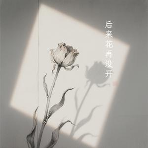 后来花再没开
