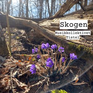 Skogen