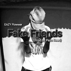 Fake friends