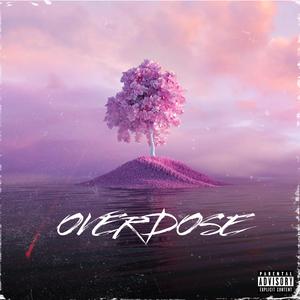 OVERDOSE (feat. AK99)