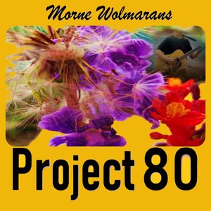 Project 80
