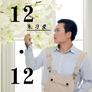12.12 (演唱会版)