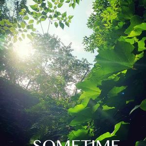 SeamlessR-Sometime（Devil-Figure Bootleg）-双声道