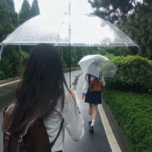年少心动雨季