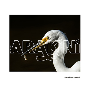 Minnow [Animal Feelings Remix]