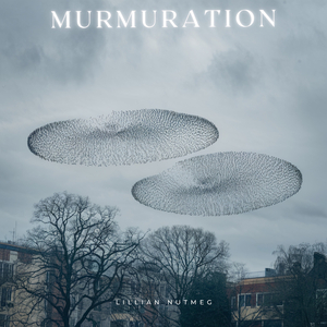 Murmuration