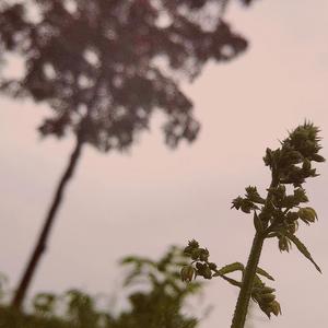 想回忆起2.0（prod.by MEGA）