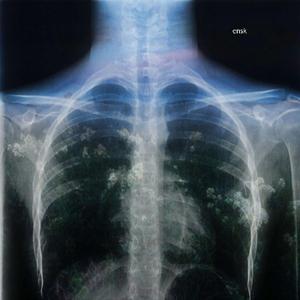 сказка о вечной весне