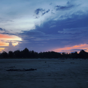 Dear Mama（致敬）