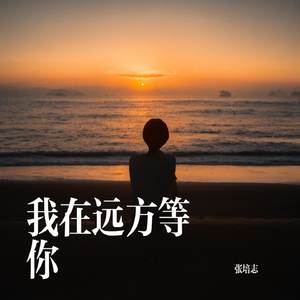 我在远方等你