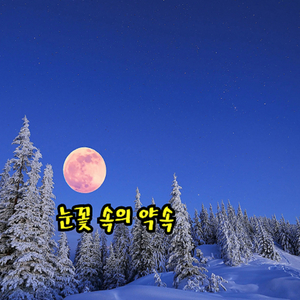 눈꽃 속의 약속