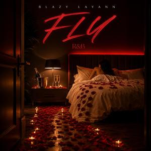 Fly