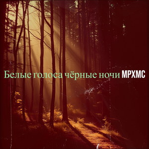 Возвращается