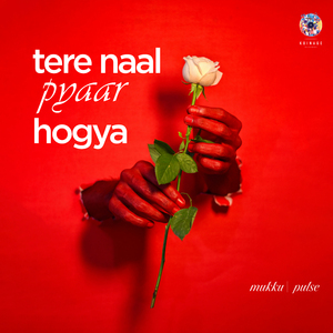 Tere Naal Pyaar Hogya
