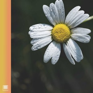 恋だろ (Piano Version)