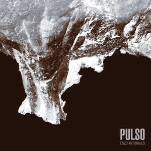 Pulso