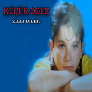 Zilli Dilek