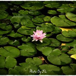 鼓楼（翻自 赵雷）