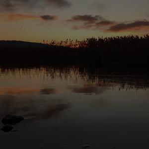 Nocturnal whisper