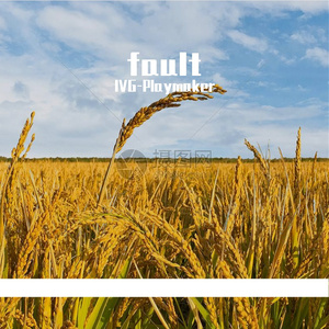 fault(prod. aura+fas+bino)