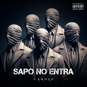 SAPO NO ENTRA