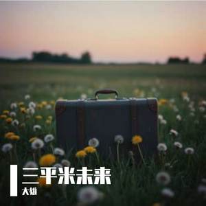 三平米未来