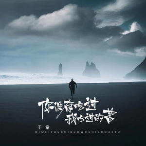 你没有吃过我吃过的苦