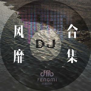 梦中月 (Dj阳少ExtendedMix)