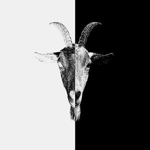 Worship and Destruction