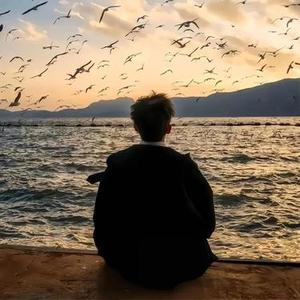 故事刚讲到一半