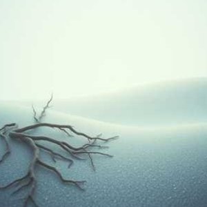 沉眠（Fall asleep）