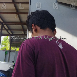 Terlambat Tuk Ungkapkan