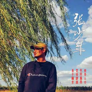 张少年