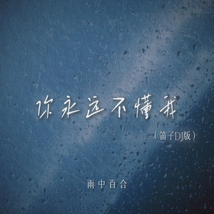 你永远不懂我 (笛子DJ版)