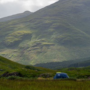 小牛马没有草原