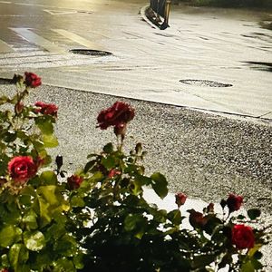 Farewell（Prod By牙刷/李小眼）