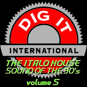 You Gotta Love (70's Extended Disco Mix)