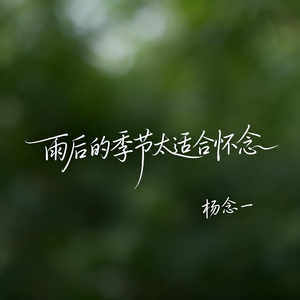 雨后的季节太适合怀念