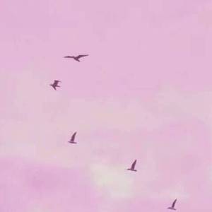 后来她去了人大，我在县城。