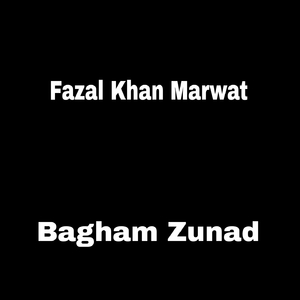 Bagham Zunad