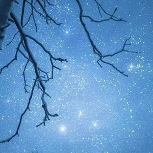 自以为凉薄（纯歌版）