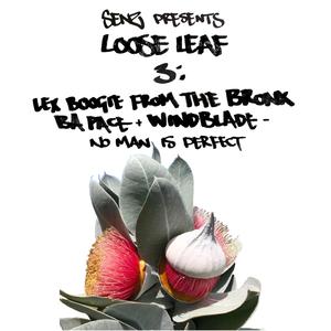 No Man Is Perfect (feat. Lex Boogie From The Bronx, BA Pace & Wolf Windblade)