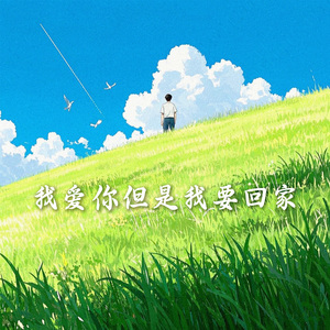 我爱你但是我要回家 (加速版)