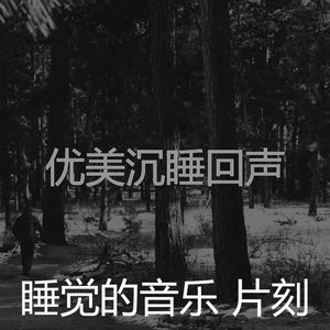 一尘不染做梦印象数