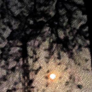 CyningHuang-这个旅人明明想家却过分豁达（5IX0NE-cxy remix）