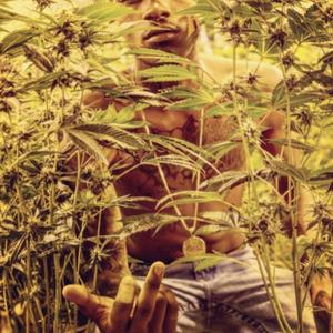 Plentiful