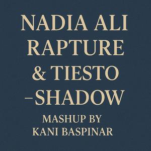 Nadia Ali Rapture & Tiesto Shadow (Mashup)