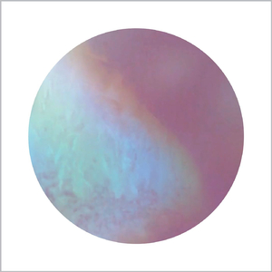 a pearl on the back of the lid
