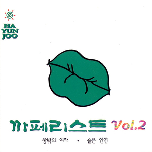 겨울비는 내리고