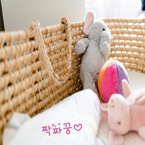 짝짜꿍